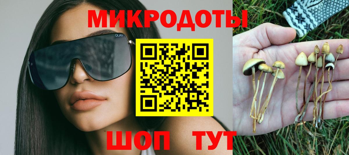 Псилоцибиновые грибы прущие грибы Геленджик